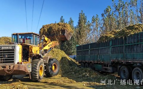 秸秆回收再利用 生态经济双收益