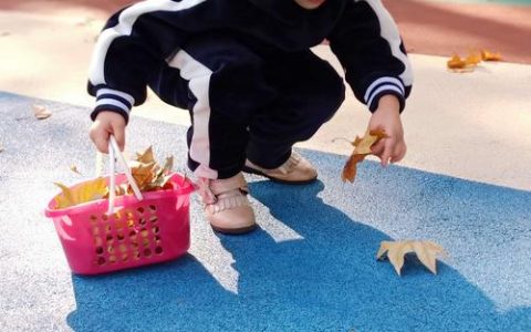 江汉油田物探幼儿园开展“拾叶寻美”户外活动