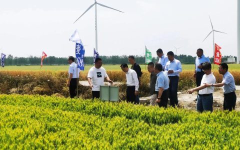 麻城助推粮油产业提质增效