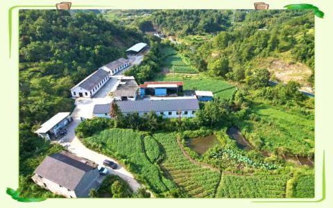 黄冈新增家庭农场1.5万家