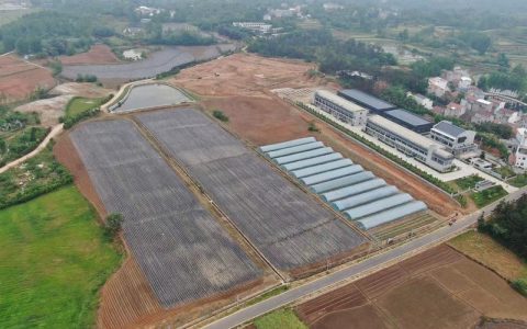 麻城系统性培育粮油产业