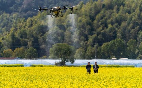 咸安浮山街道白鹤村油菜播种用上无人机