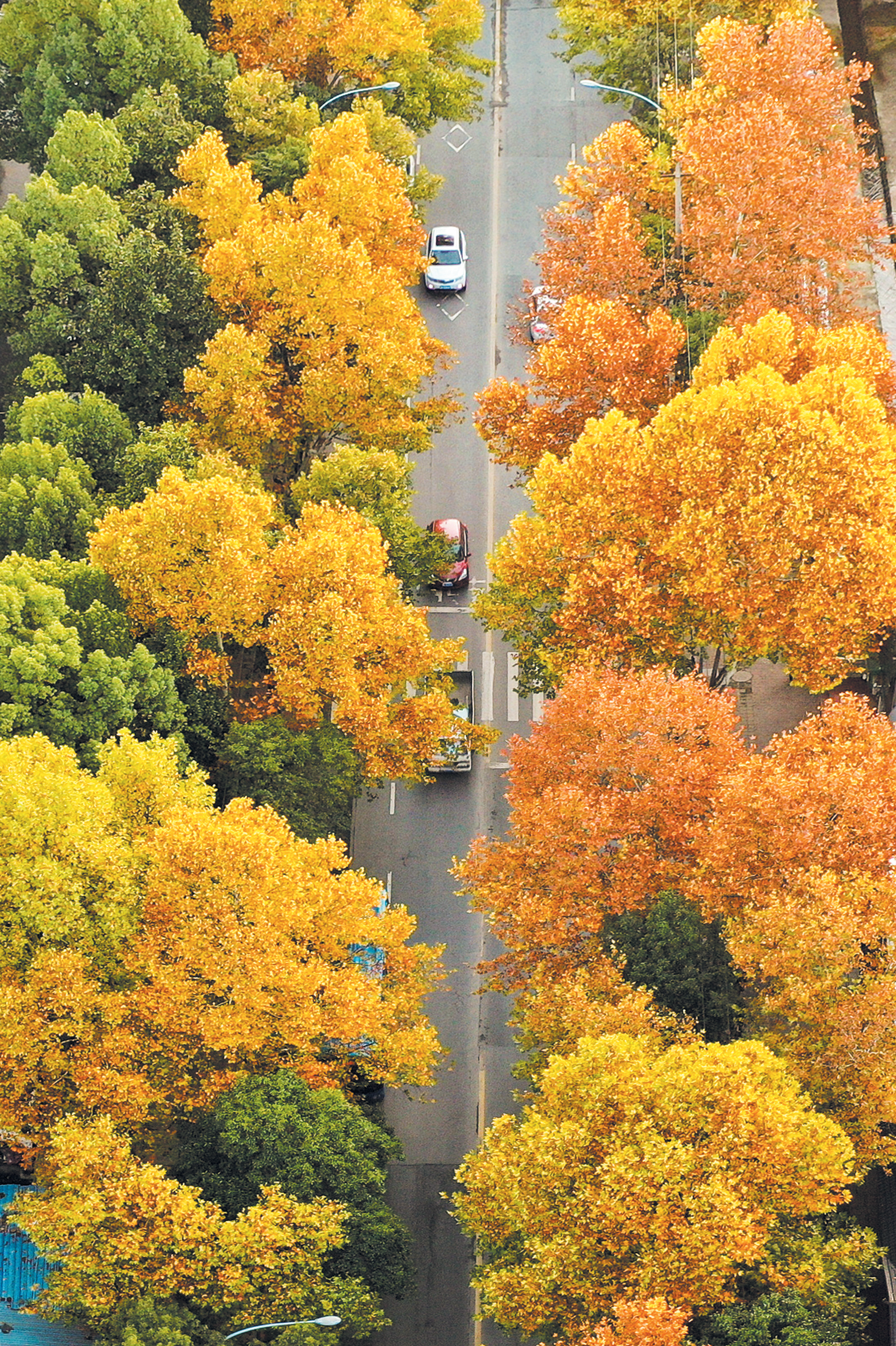 摄影画刊 | 道路串美景 一步一芳华