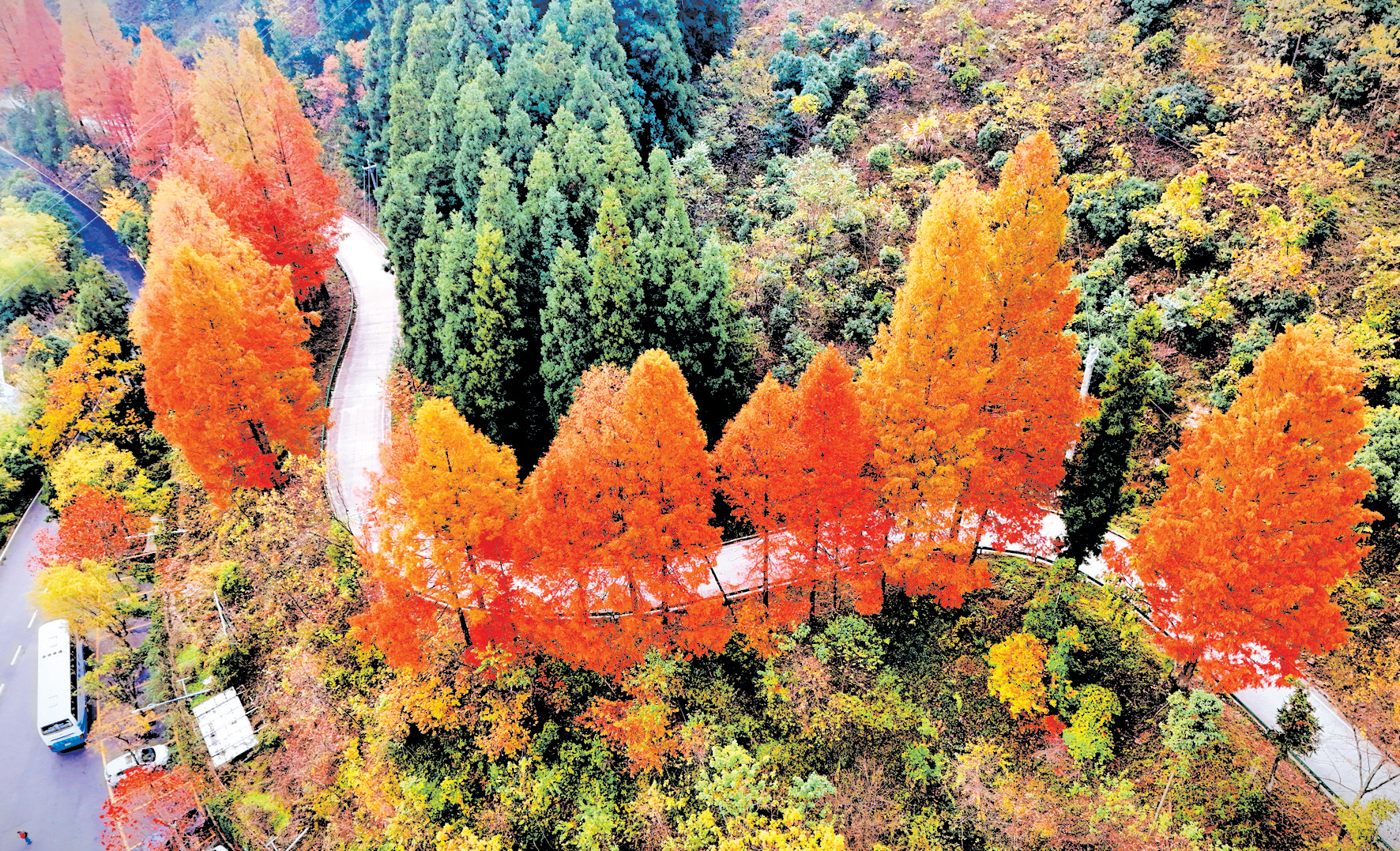 摄影画刊 | 道路串美景 一步一芳华