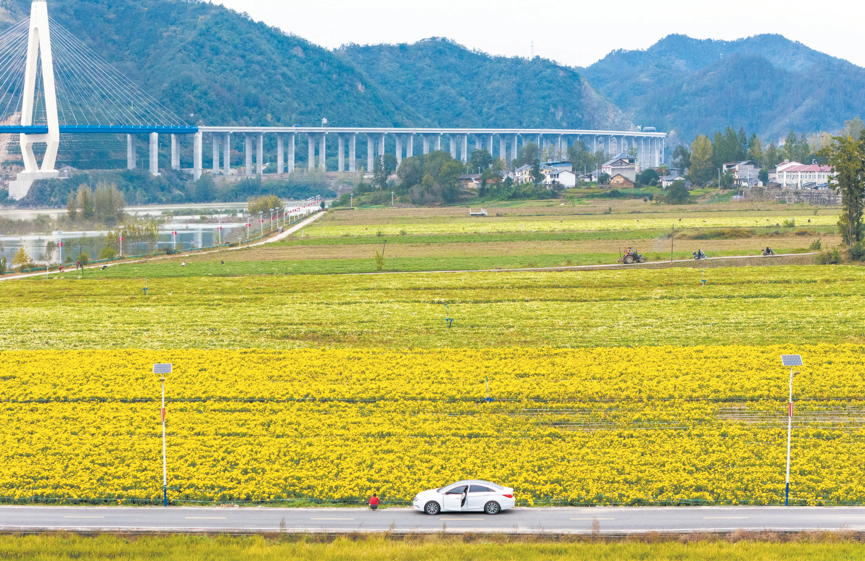 摄影画刊 | 道路串美景 一步一芳华