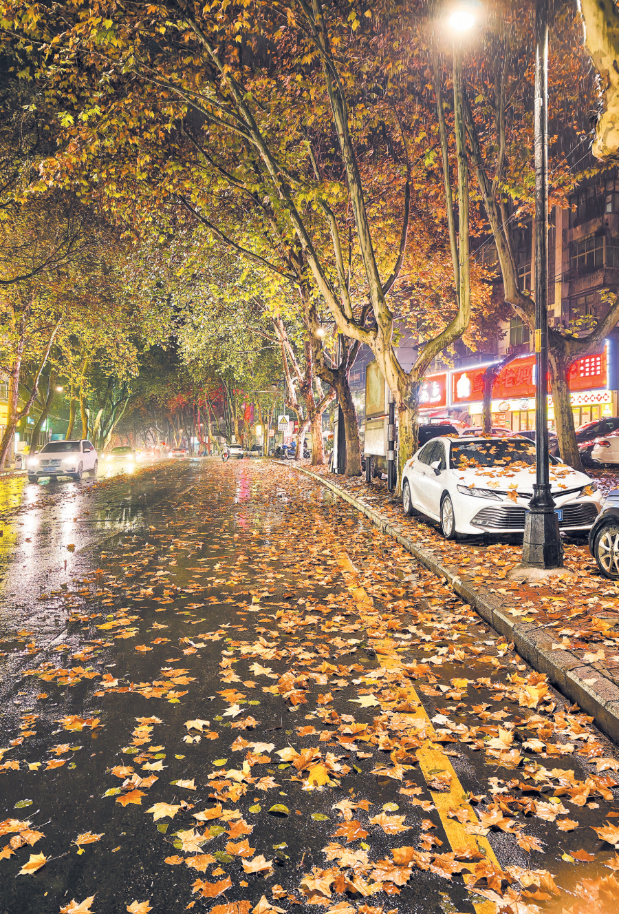 摄影画刊 | 道路串美景 一步一芳华