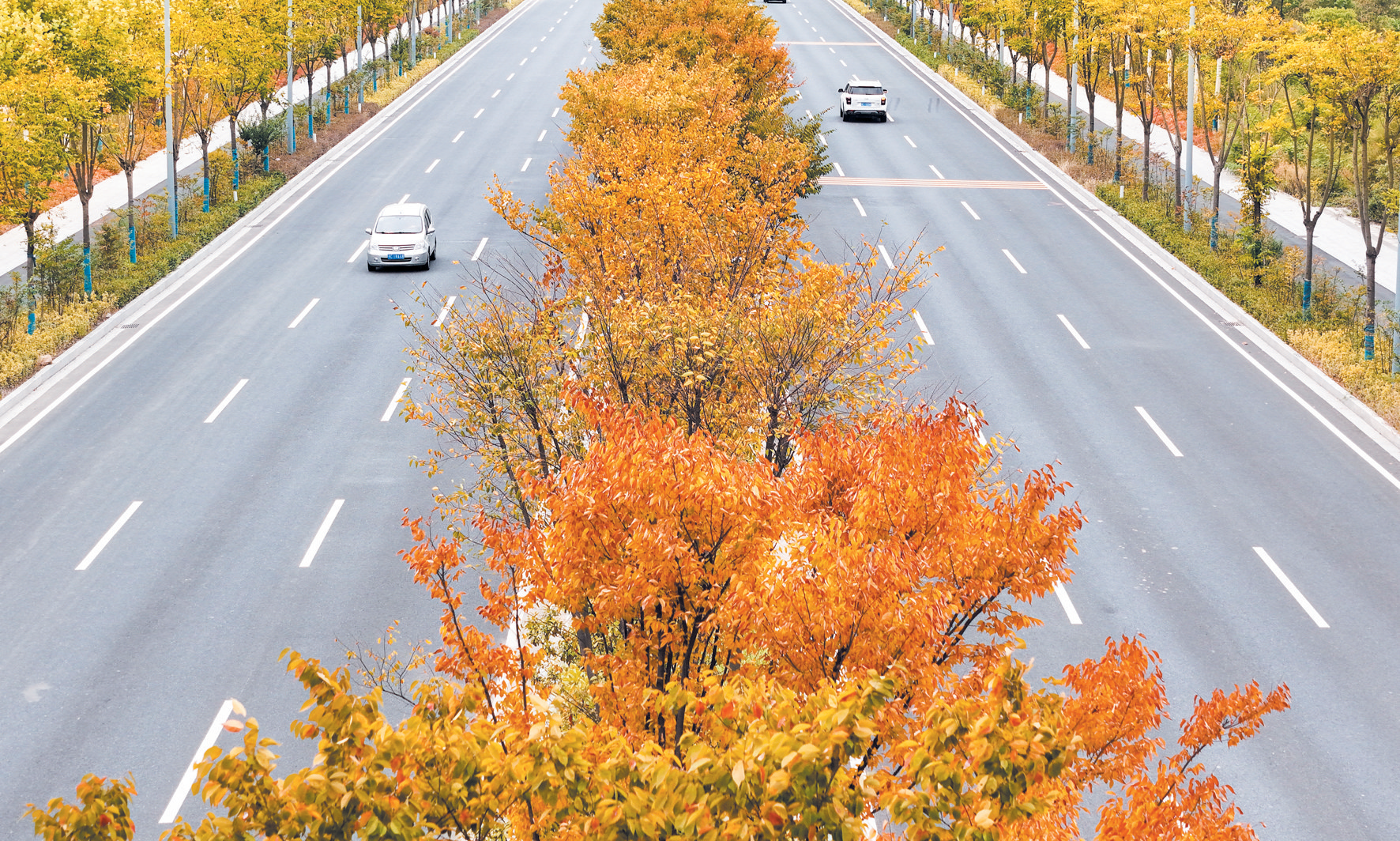 摄影画刊 | 道路串美景 一步一芳华