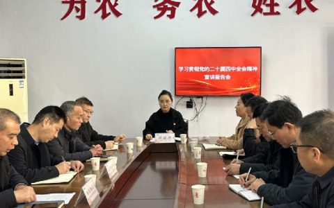 市委社会工作部组织召开学习贯彻党的二十届四中全会精神新兴领域宣讲会