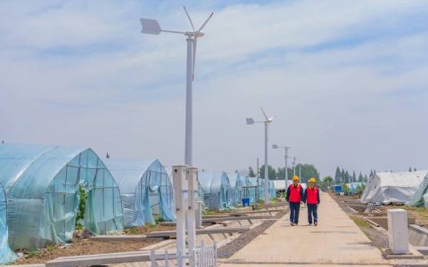 “能源革命”风口，武汉跑在前列