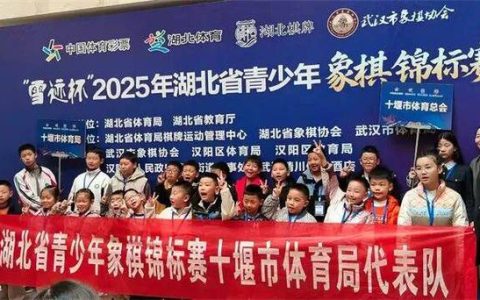 2025年湖北省青少年象棋锦标赛落幕 十堰获3金1银3铜