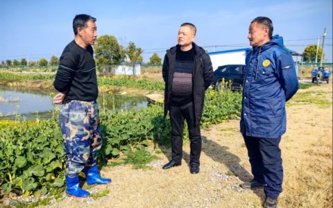 运粮湖管理区纪委：聚焦“四季有虾” 做实“专项监督”