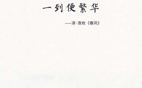 满城芳华香自来