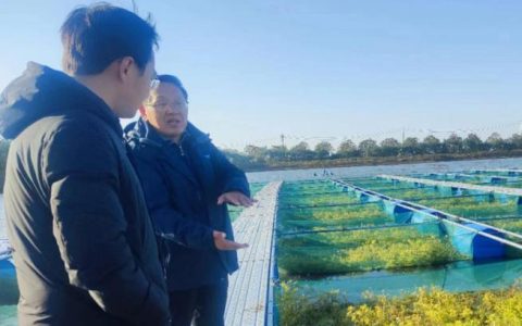 省黄鳝小龙虾科技服务小分队来我市交流经验