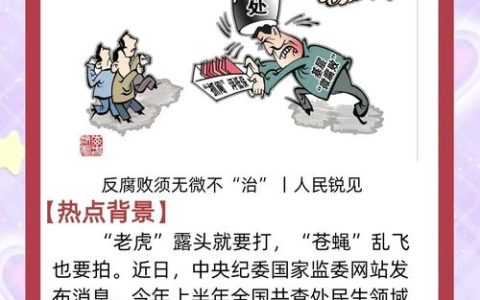 抓实群众身边不正之风和腐败问题整治　用心用情用力守护民生福祉