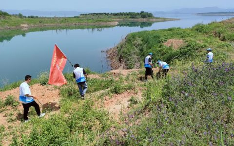全力守护城区湖泊水环境安全