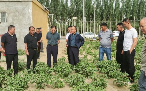 政企校联手为武昌鱼产业“把脉开方”