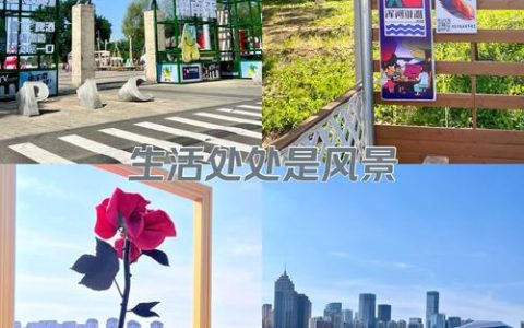 市民游客打卡的好去处