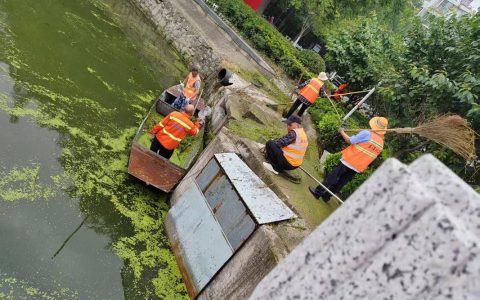 郑场镇扎实推进水环境治理