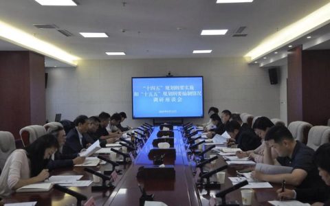 盛阅春主持召开区委书记和基层、相关领域代表座谈会：高质量编制好“十五五”规划，确保贴合市情体现民意引领发展