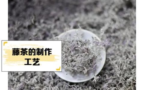 藤茶入选湖北省道地药材目录和名录