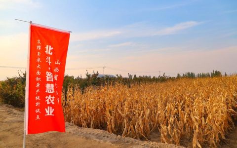 种业筑基稳粮安 一体化模式惠农户