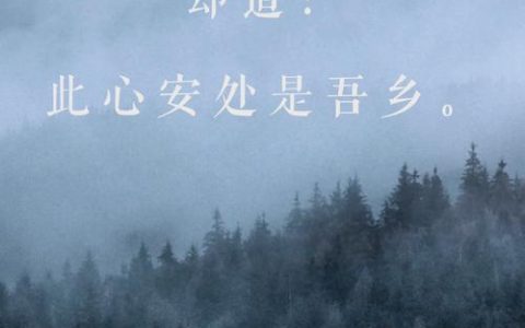 李进：心安在归途