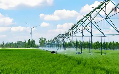 一张覆盖广效能高的农田水网成型