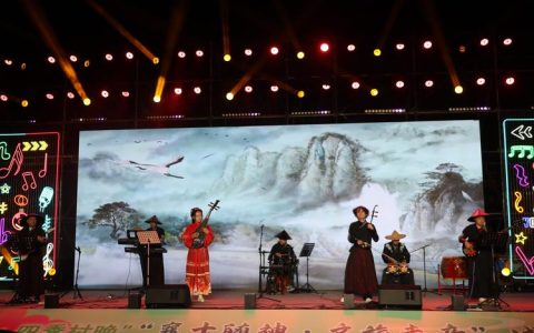 市群文系统举行技能展示音乐会