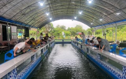 渔舟唱晚生态回归——沙湖原种场沙原渔村农文旅综合体项目观察