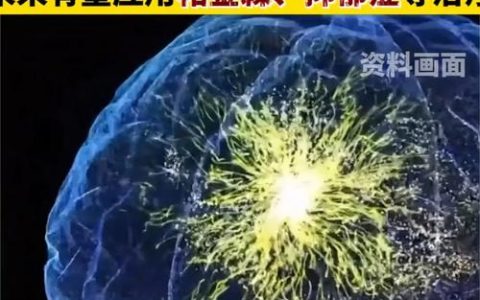 全国首例“医保价”脑机接口手术在武汉完成，技术普惠化产业化迈出关键一步