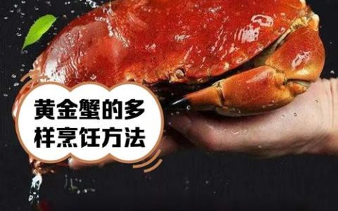 一只蟹的“致富经”：亩产超300斤 毛收入超万元