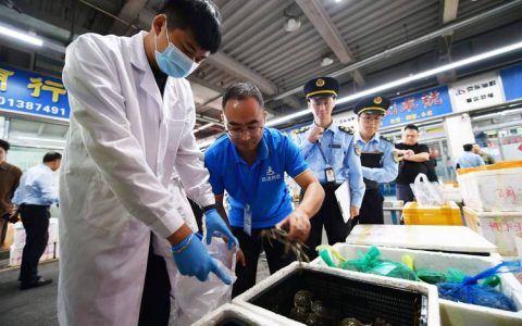 黄石港区创新市场监管模式  14名骑手受聘食品安全监督员