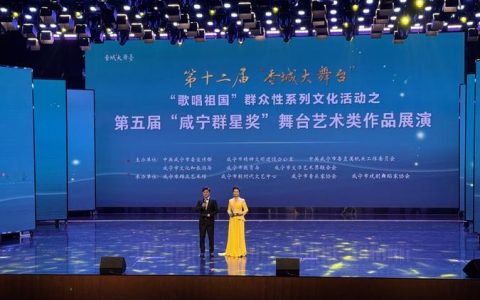 新风扑面来  文艺开繁花 “咸宁群星奖”造型艺术作品展开幕