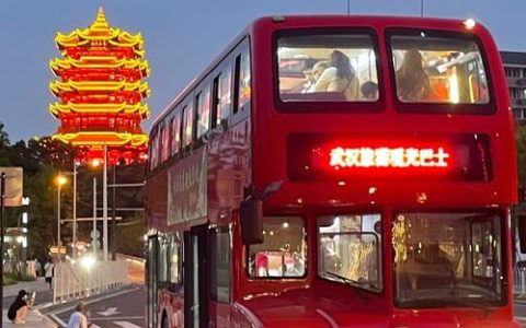 武汉新增“观光专线“微公交，直通右岸大道开启桥