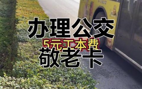 15万余张免费公交卡托起老人稳稳的交通