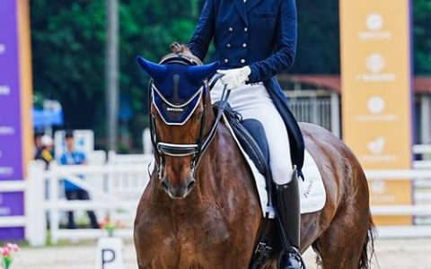 更好看的赛马节来了，“马术芭蕾”首次亮相