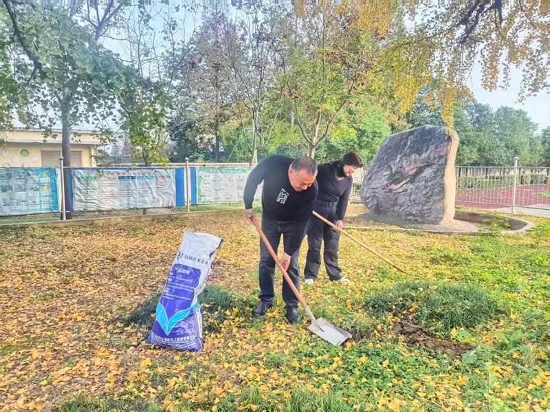 430年古银杏：校园里的“岁月见证者”