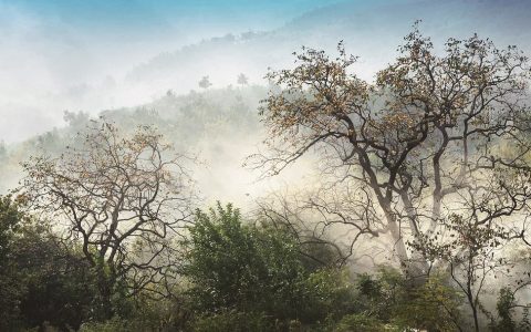 湖北一古村靠“颜值”出圈 年吸引5万人写生 百年桃源村变身“没有边框的画卷”