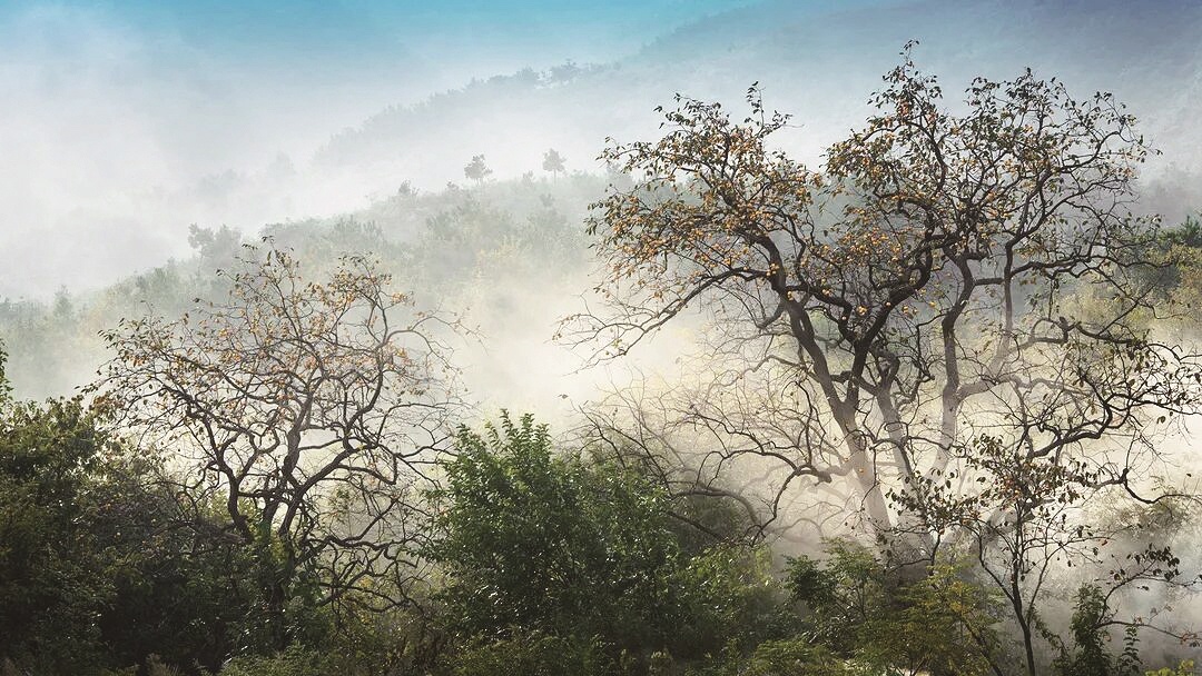 湖北一古村靠“颜值”出圈 年吸引5万人写生 百年桃源村变身“没有边框的画卷”