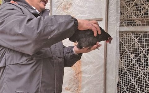 成名15年，朱之文说——更喜欢“农民”身份 而非“大衣哥”标签