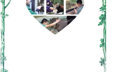 追企鹅喂食！猎豹求挠痒！ 武汉动物园动物撒娇暖心保育员稳稳接住