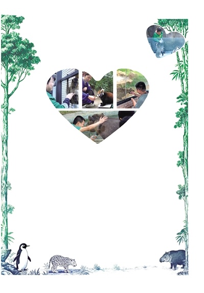 追企鹅喂食！猎豹求挠痒！ 武汉动物园动物撒娇暖心保育员稳稳接住