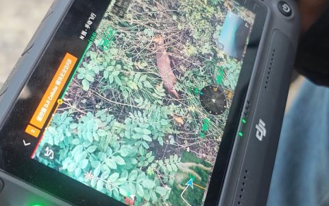 无人机精准猎杀百斤大野猪，网购平台一二千元“无门槛”入手猎杀装备引担忧，专家呼吁应有监管防线