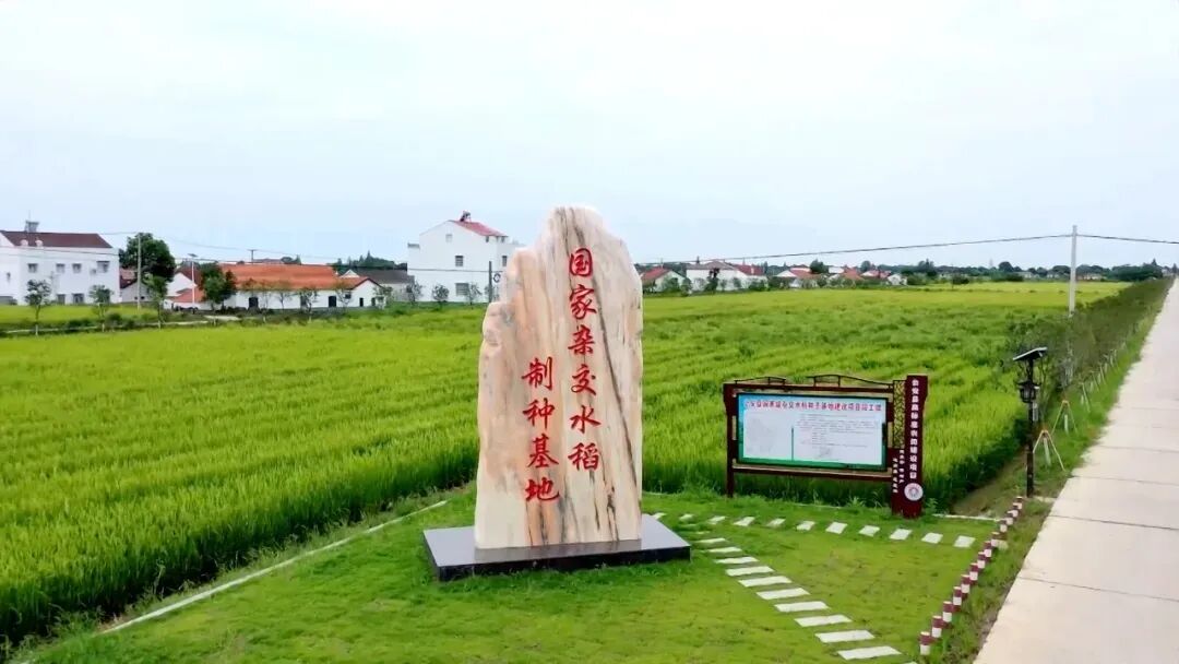 在公安，过上向往的生活