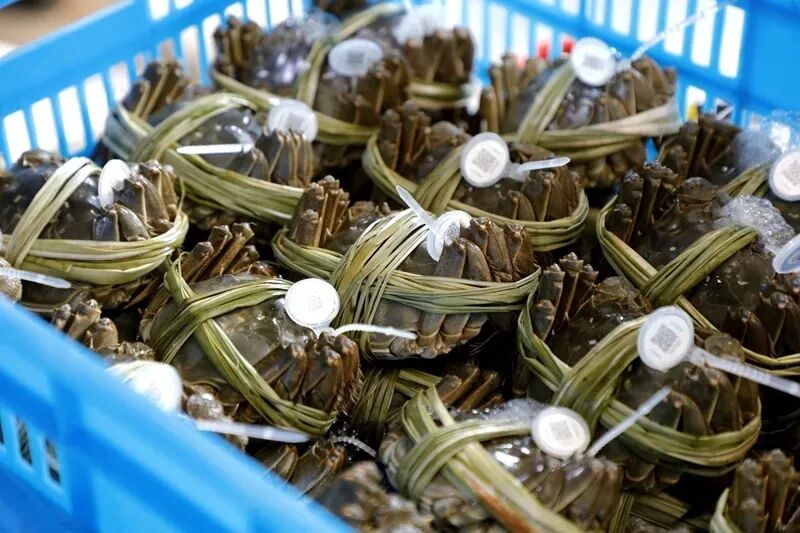 在公安，过上向往的生活