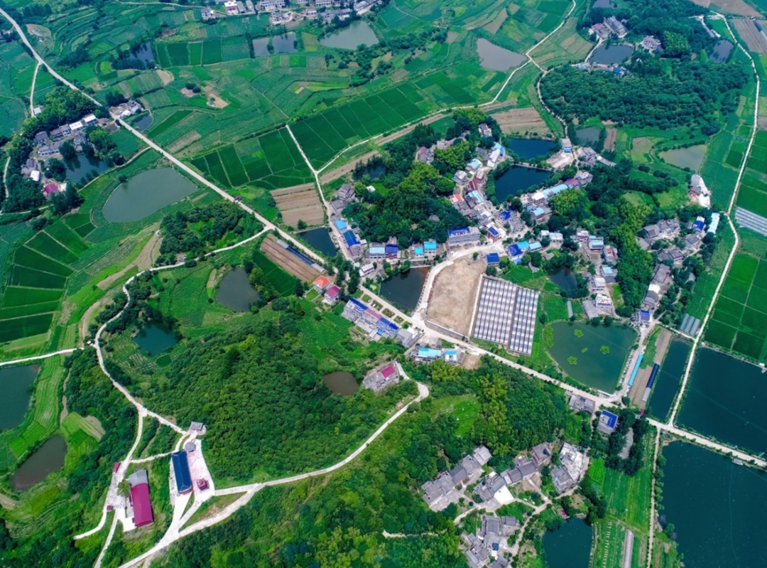 打通乡村“脉络”，浠水26座危桥改造工程即将开工！