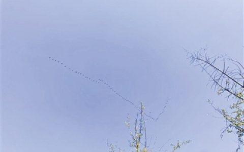 下半年首场寒潮下周来袭 湖北多地最低气温将跌至0℃或以下