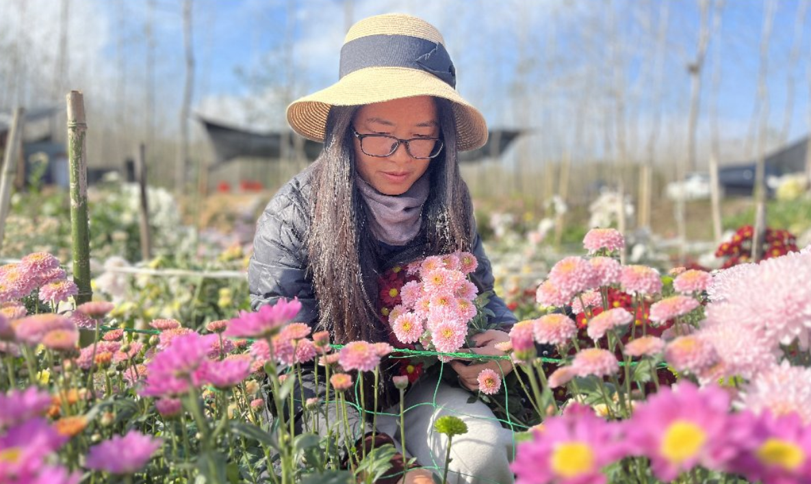 鲜花铺就农文旅融合“芳香之路”