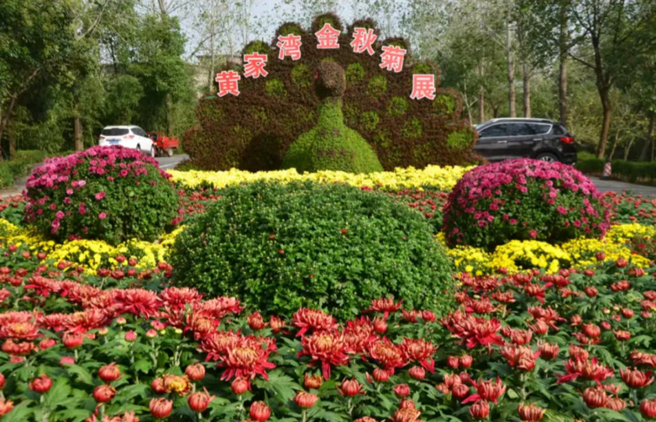 17超级文旅日凭张韶涵演唱会门票享景区专属优惠！