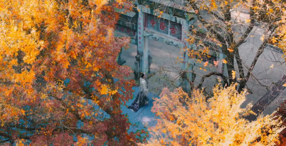 17超级文旅日凭张韶涵演唱会门票享景区专属优惠！